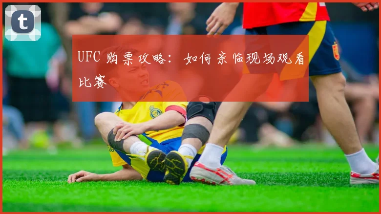 UFC 购票攻略：如何亲临现场观看比赛