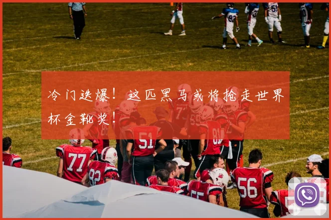 冷门迭爆！这匹黑马或将抢走世界杯金靴奖！